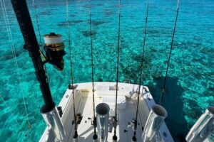 Half Day Luxury Private Fishing Charters in Cayman Islands - Where you meet and how the half-day stays easy