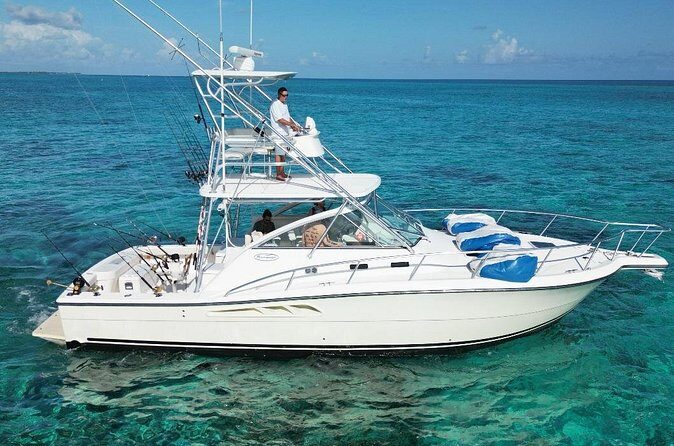Half Day Luxury Private Fishing Charters in Cayman Islands - Reef fishing in North Sound: what the species list tells you