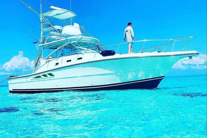 Half Day Luxury Private Fishing Charters in Cayman Islands - Stingray City sandbar: how to plan for a memorable stop