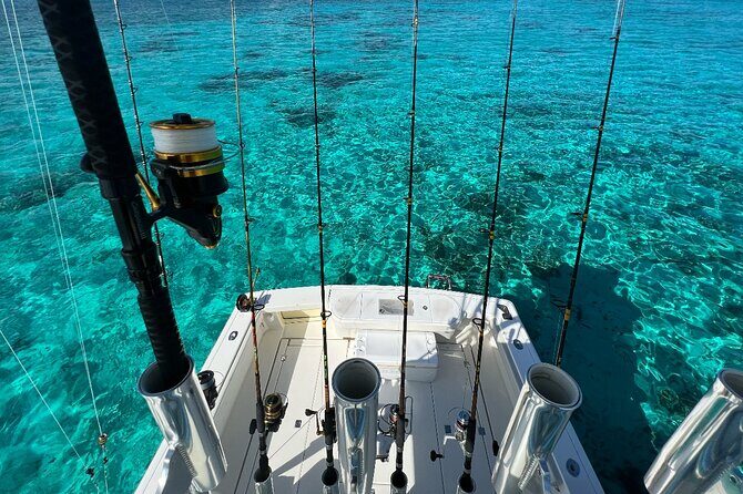 Half Day Luxury Private Fishing Charters in Cayman Islands - Where you meet and how the half-day stays easy