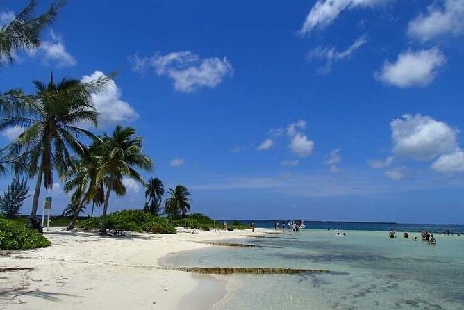 Half Day Private Boat Charter in Grand Cayman - Captain Mark: safe, flexible, and comfortable at the right volume