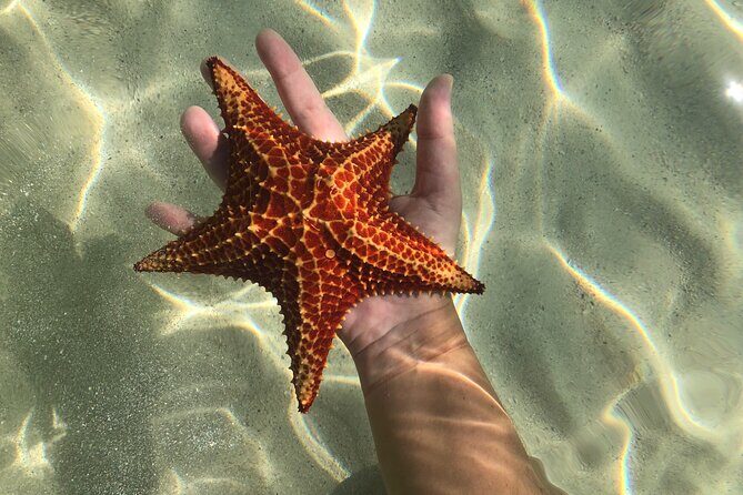 Half Day Private Boat Charter in Grand Cayman - Who should book this charter, and who should think twice