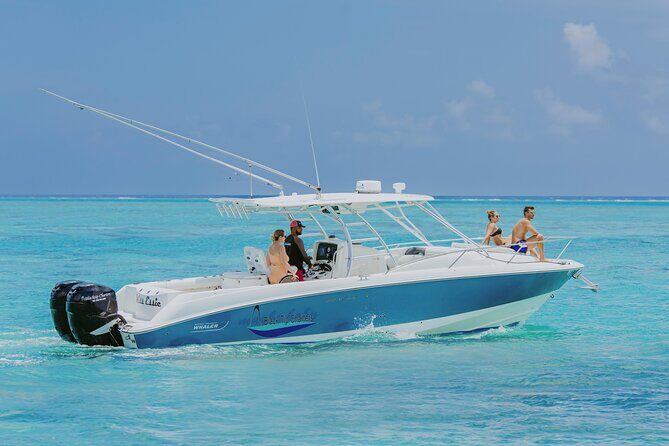 Half-Day Private Stingray City Charter - Grand Cayman - BTC - Key things I’d highlight before booking