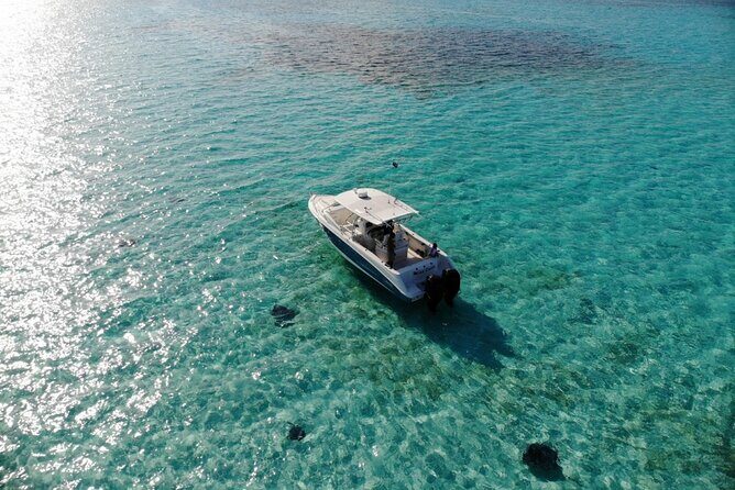 Half-Day Private Stingray City Charter - Grand Cayman - BTC - Private boat value in Grand Cayman: what you get for up to 8 people