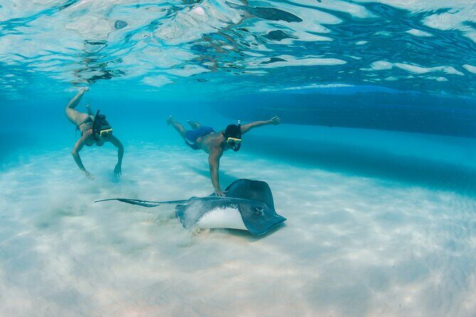 Half-Day Private Stingray City Charter - Grand Cayman - BTC - Coral Gardens snorkel at 8–10 feet: fish viewing plus real variety