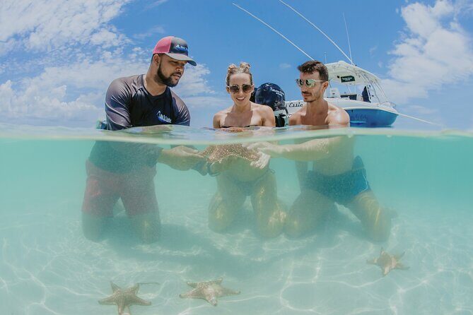 Half-Day Private Stingray City Charter - Grand Cayman - BTC - Starfish Point: the slow, quiet shore moment for kids and adults