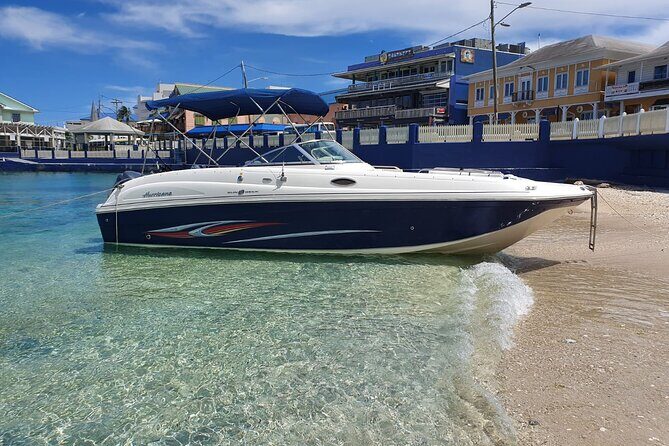 Half-Day Private Stingray City Charter in Cayman Islands - Key Points You’ll Care About