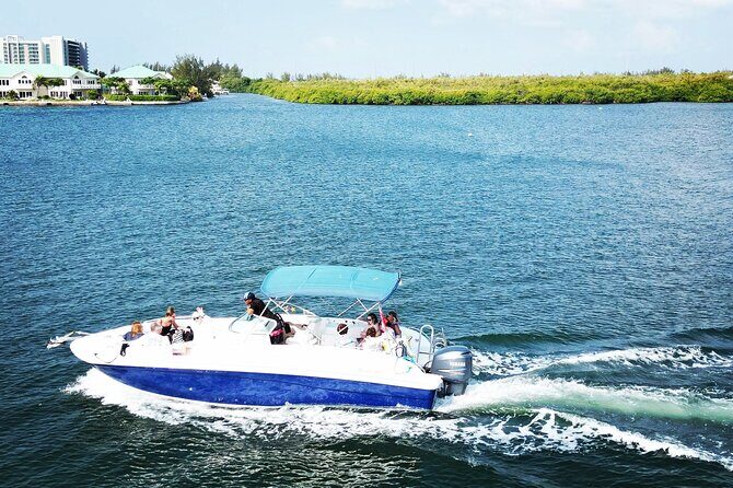 Half-Day Private Stingray City Charter in Cayman Islands - Reef Time and a Second Stingray City Session: More Than One Splash Zone