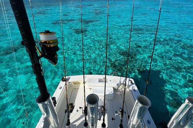 Luxury Private Fishing Charters - FULL DAY CHARTER - Inside the luxury boat: AC, Wi‑Fi, and real comfort