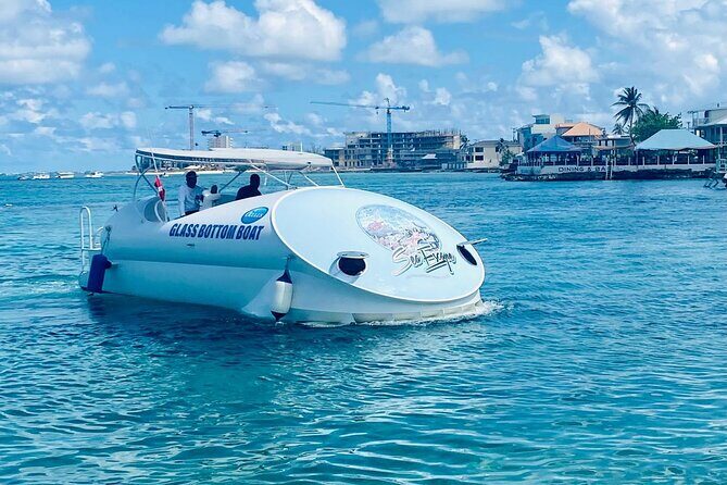 Oculus Glass Bottom Boat Tour - Key things that make this tour work well