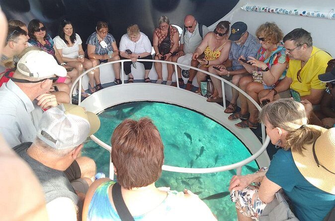 Oculus Glass Bottom Boat Tour - Safety and comfort: the boat experience in real terms