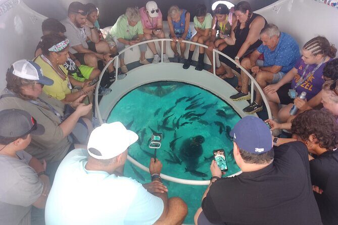 Oculus Glass Bottom Boat Tour - A quick reality check on getting to the dock