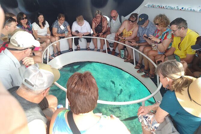 Oculus Glass Bottom Boat Tour - Who this tour suits best (and who should skip it)