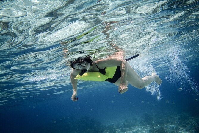 Private 4 hour Catamaran Tour - Starfish Point: what to expect and how to keep it enjoyable