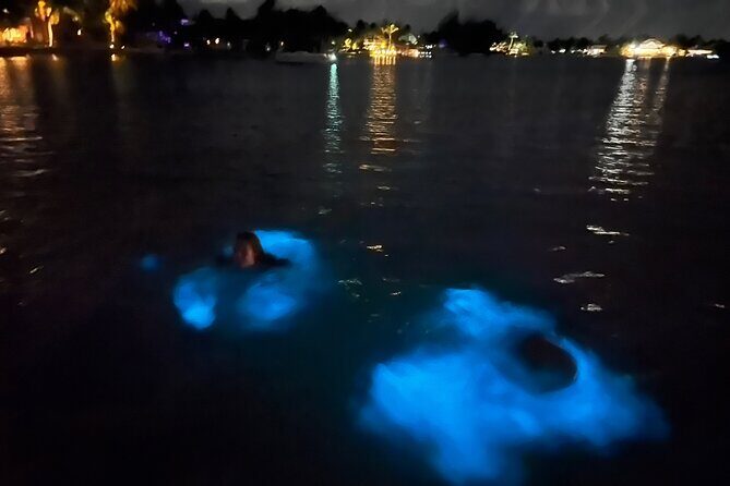 Private: Bioluminescence Tour - Key things to know before you go