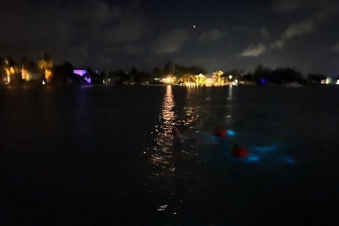 Private: Bioluminescence Tour - Meeting at Camana Bay and What the Boat Ride Feels Like