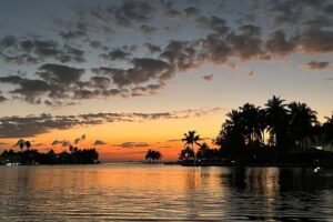 Private: Bioluminescence Tour - When You’ll See the Most Glow: Moonlight and Tide Reality