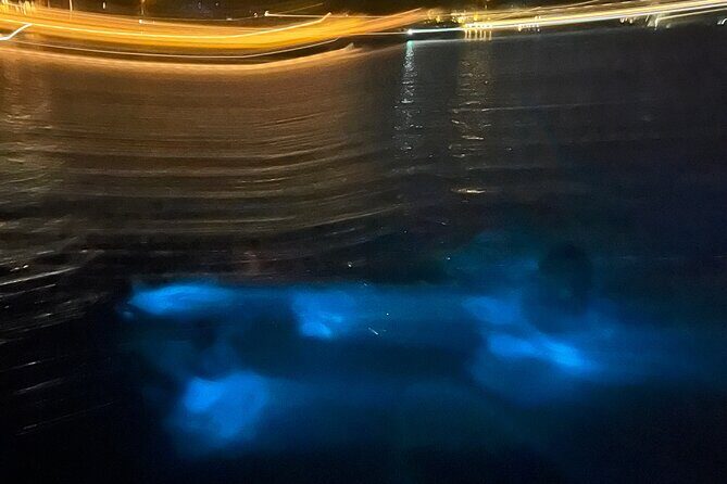 Private: Bioluminescence Tour - Small-Group Comfort: Snacks, Drinks, and the Little Things That Matter