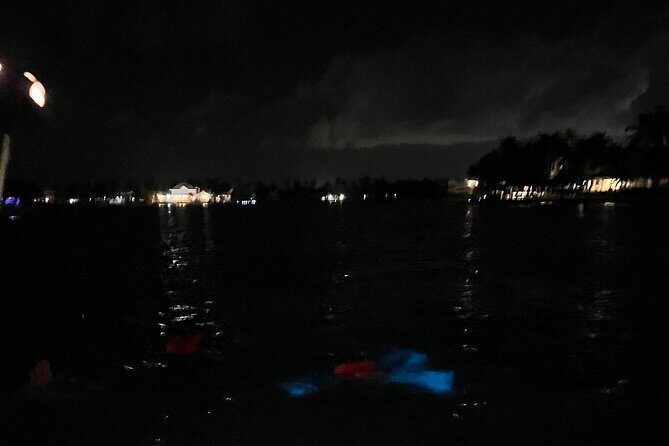 Private: Bioluminescence Tour - Customization on the Water: More Than One Way to Use Your Time