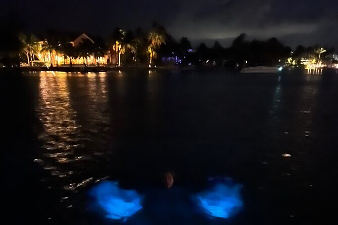 Private: Bioluminescence Tour - Families, Teens, and Those First Steps Into Dark Water