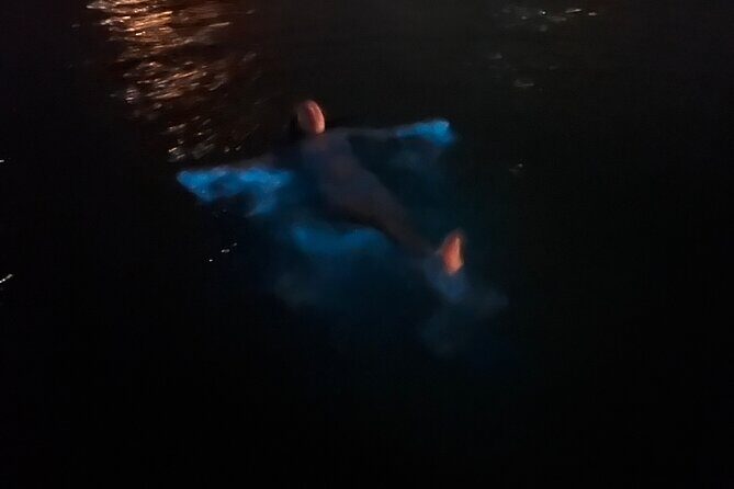 Private: Bioluminescence Tour - Eco-Friendly Intent Meets Real-World Nature