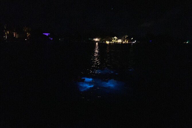 Private: Bioluminescence Tour - Price and Value: What $599 Buys You (and When It’s Worth It)