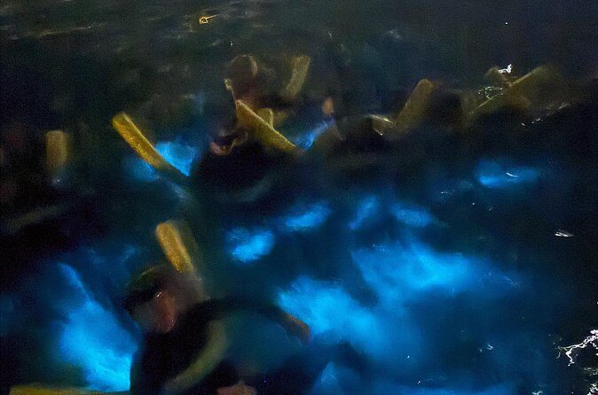 Private Bioluminescence Tour in Grand Cayman - Who this private Bio Bay tour fits best