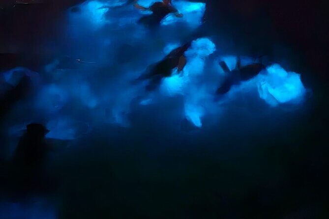 Private Bioluminescence Tour in Grand Cayman - Weather and fitness: the two real constraints
