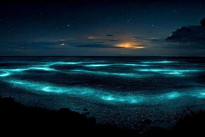 Private Bioluminescent Bay Tour - Key Highlights You’ll Care About