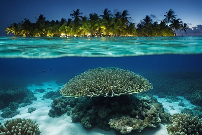 Private Bioluminescent Bay Tour - Private Charter Value: What $600 Gets You (Up to 10 People)