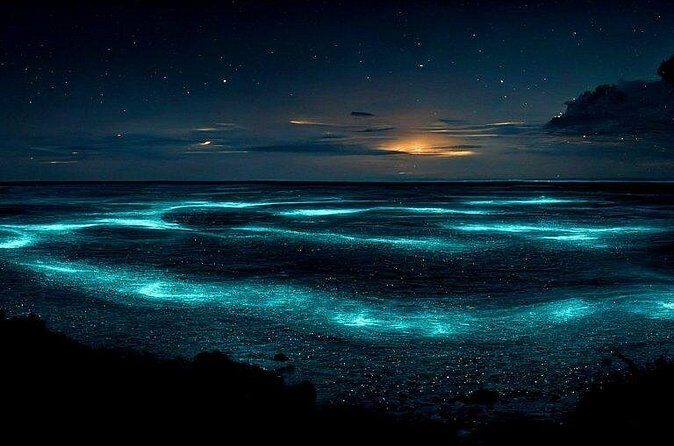 Private Bioluminescent Bay Tour - Timing Matters: Weather, Moon Timing, and Night Conditions