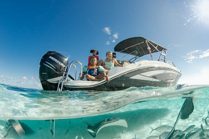 Private Bioluminescent Bay Tour - Who This Private Tour Fits Best
