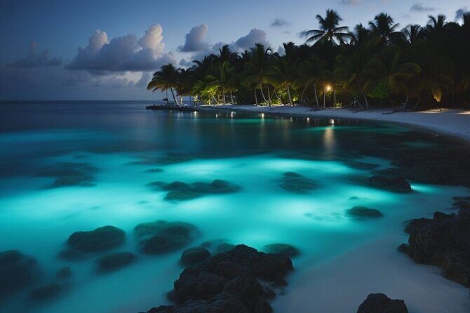 Private Bioluminescent Bay Tour - Sea Cayman Boat Charters: Getting On Board at the Cayman Islands Yacht Club