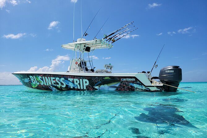 Private Boat Charter in Cayman Islands - Stingray City: Feeding Stingrays Without the Stress