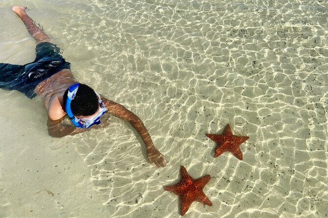 Private Boat Charter in Cayman Islands - Snorkeling the North Sound Barrier Reef: Wildlife Time