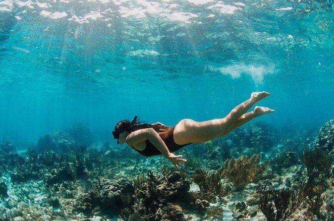 Private Boat Charter Snorkeling Stingray City or Bio Bay - Starfish Point plus Rum Point: balancing hands-on and relaxed time