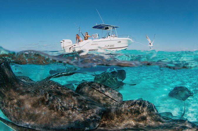 Private Boat Charter Snorkeling Stingray City or Bio Bay - How weather and timing can change the plan