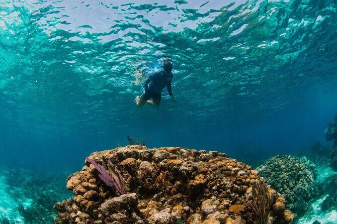 Private Boat Charter Snorkeling Stingray City or Bio Bay - Who this charter fits best, and who might skip it