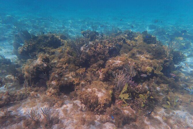 Private Boat Tour in Cayman Islands - Private boat on Grand Cayman: what “private” changes