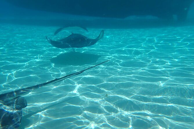 Private Boat Tour in Cayman Islands - Where the tour starts at the Cayman Islands Yacht Club