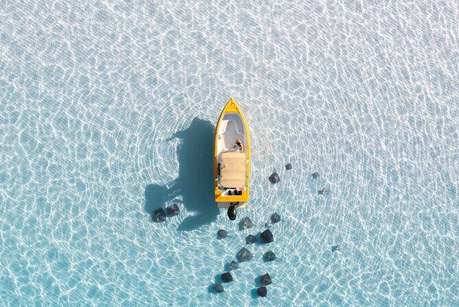Private Boat Tours: Customize Your Grand Cayman Adventure! - Private boat tour on Grand Cayman: how the day actually works