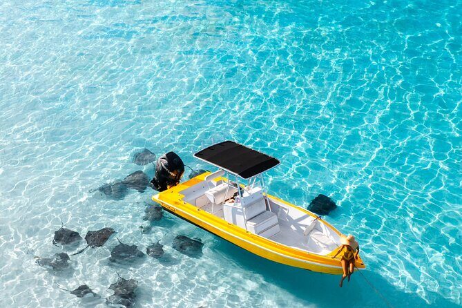 Private Boat Tours: Customize Your Grand Cayman Adventure! - Snorkeling and Starfish Point: reef time without the overload