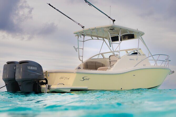 Private Boat Tours: Customize Your Grand Cayman Adventure! - Stingray City first: the sandbar part you should plan for
