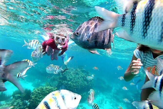 Private Charter 28ft Grady White. Stingrays, Snorkeling, Starfish - Entering Stingray City from a private sandbar ride