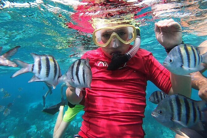 Private Charter 28ft Grady White. Stingrays, Snorkeling, Starfish - Meeting point and timing: why 164 Yacht Dr is your anchor