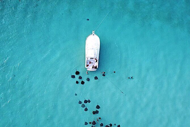 Private Charter 34ft Express Cruiser Stingay City Reef Snorkeling - Key highlights to know before you book