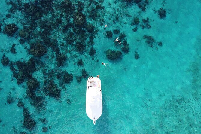 Private Charter 34ft Express Cruiser Stingay City Reef Snorkeling - Starfish Point: the quiet beach stop that people remember
