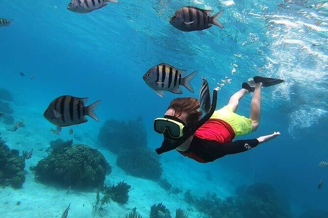 Private Charter 34ft Express Cruiser Stingay City Reef Snorkeling - Lunch on your terms: restaurant stop is optional (and at your expense)