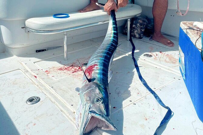 Private Deep Sea Fishing Experience in Grand Cayman - From Camana Bay Marina to the Moment Lines Hit Water