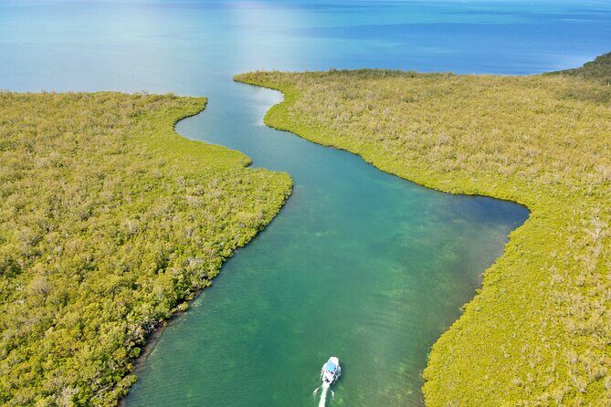 Private, Guided Boat Charters in The Cayman Islands - Meeting at 47 Forum Ln: Simple Start, Easy Finish